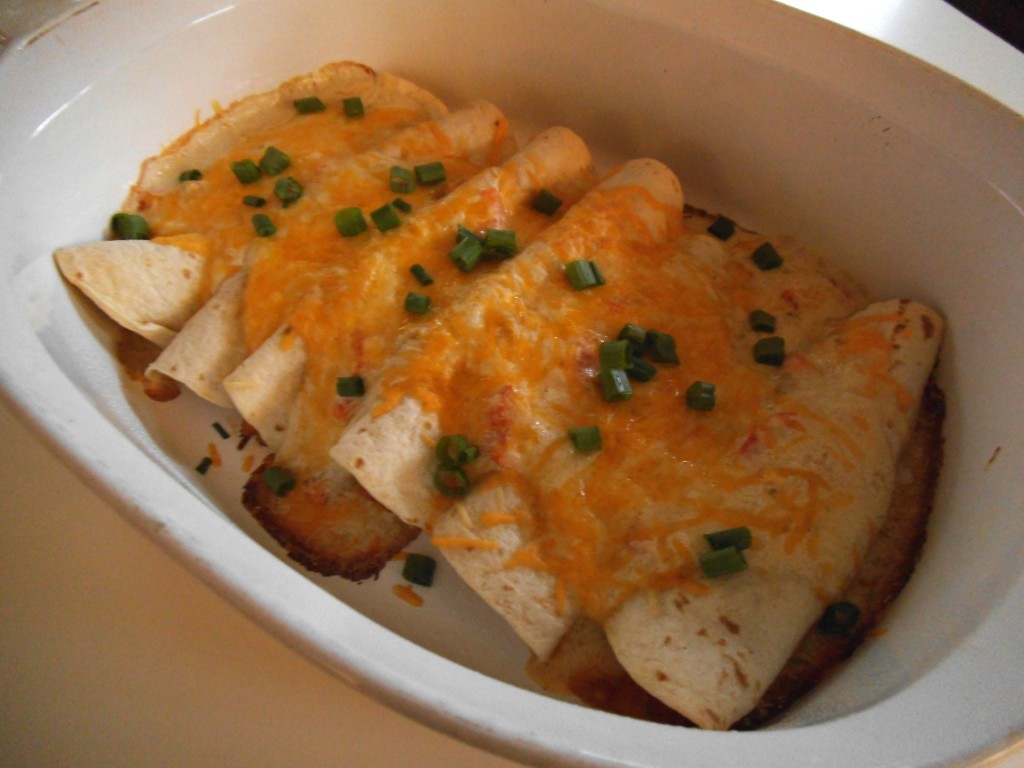 Chicken Enchiladas with Sour Cream