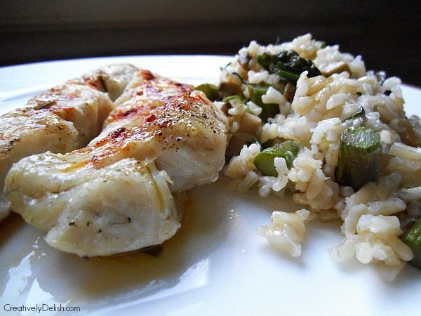 tautog and manchego rice 039