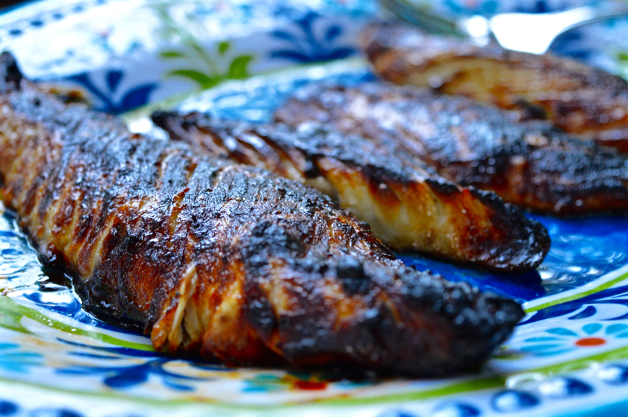 bluefish on the grill