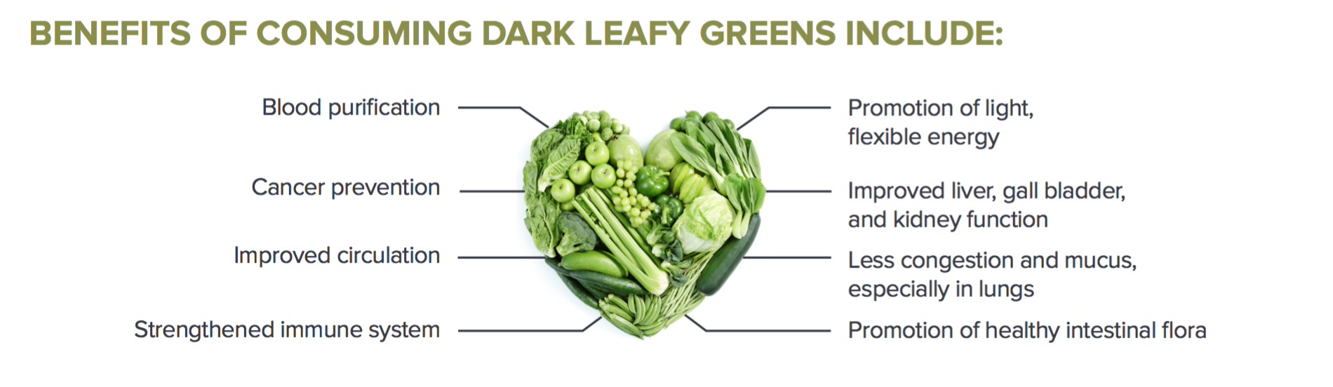 Leafy green immune support